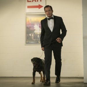 Show Dogs - Entriamo in scena: Will Arnett in un'immagine del film