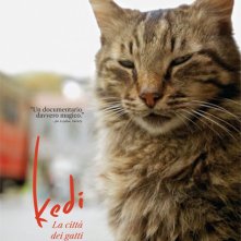 Locandina di Kedi - La città dei gatti