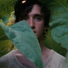 Lazzaro felice: Adriano Tardioli in un'immagine del film