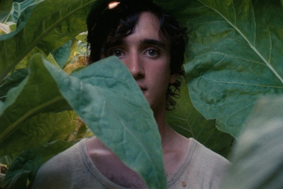 Lazzaro felice: Adriano Tardioli in un'immagine del film