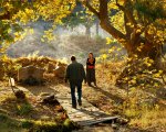 The Wild Pear Tree: il nuovo lungo, appagante viaggio nel cinema di Ceylan