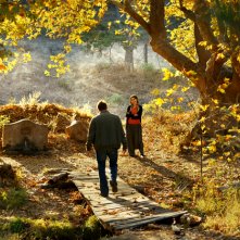 The Wild Pear Tree: una scena del film