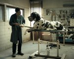 Cannes 2018: un 'giorno da cani' con Dogman e Garrone, John Travolta ospite d'onore