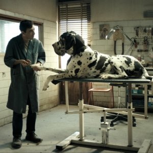 Dogman: Marcello Fonte in un'immagine tratta dal film