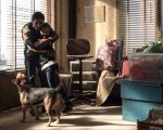 Ciak d'oro 2019: il trionfo di Dogman e Sulla mia pelle