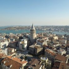 Kedi - La città dei gatti: un'immagine tratta dal documentario