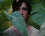 Lazzaro felice: la terra della gentilezza uccisa