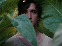 Lazzaro felice: la terra della gentilezza uccisa