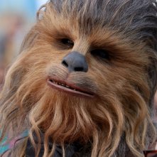 Cannes 2018: un primo piano di Chewbacca sul red carpet di Solo: A Star Wars Story