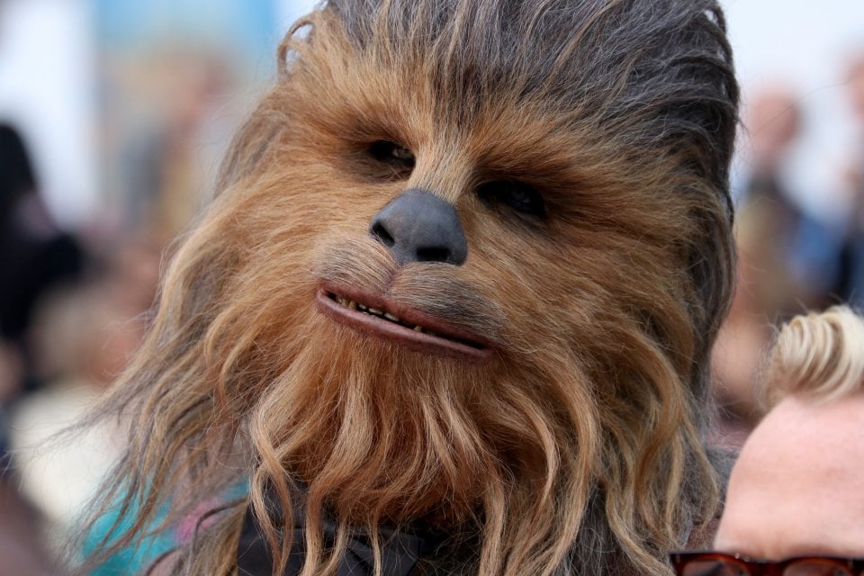 Cannes 2018: un primo piano di Chewbacca sul red carpet di Solo: A Star Wars Story