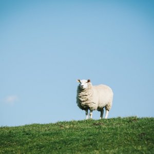 La terra di Dio: un momento del film