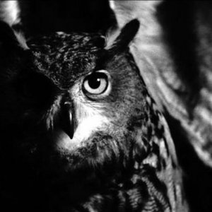 Macbeth - Neo Film Opera: un'immagine del film