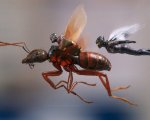 Ant-Man and the Wasp: gli eroi cercano alleati nel nuovo spot