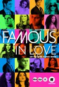 Locandina di Famous in Love