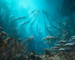 Aquaman: Re Orm e Re Nereus nelle nuove immagini del film
