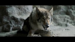 Alpha: Un'amicizia forte come la vita - Trailer Ufficiale Italiano