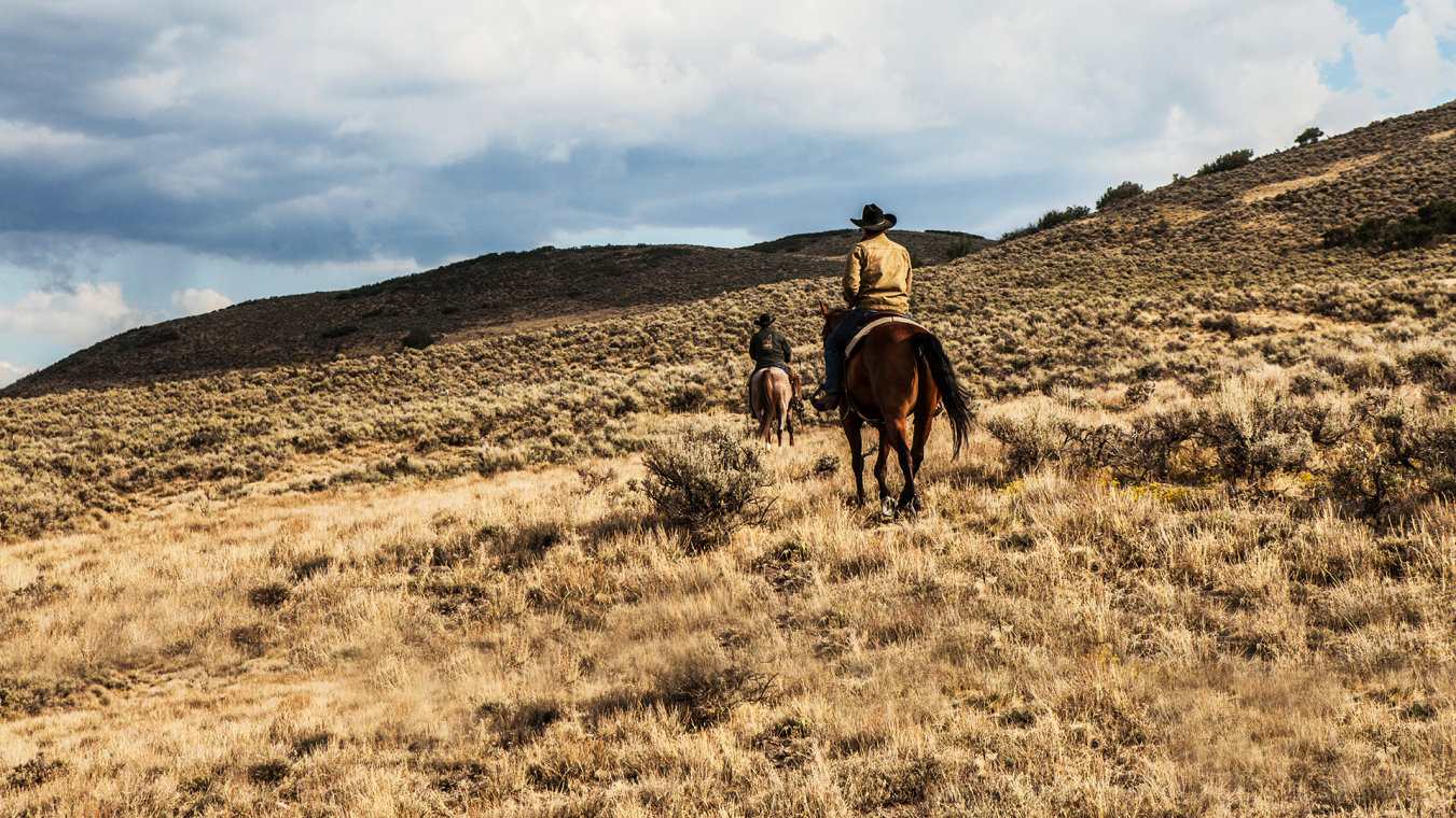 Una scena di Yellowstone