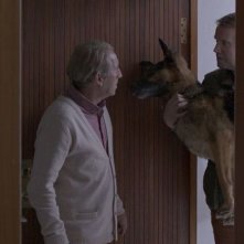 L'albero del vicino: una scena del film