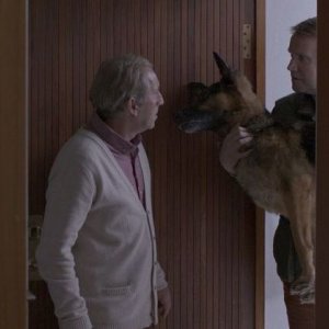 L'albero del vicino: una scena del film