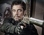 Soldado, Robin Hood e il Pinocchio di Garrone: ecco il ricco listino 01 Distribution!