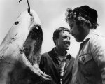 Lo squalo compie 43 anni: ecco come il film ha quasi rovinato Steven Spielberg!
