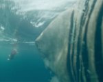 Shark - Il primo squalo, il nuovo spot ci invita a... nuotare più veloce!