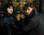 Animali Fantastici: I crimini di Grindelwald, ecco Newt Scamader in versione giovanile (FOTO)