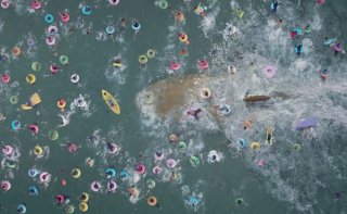 Shark - Il primo squalo: un'immagine del film