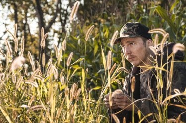 Escape at Dannemora: Paul Dano si mimetizza nella vegetazione