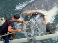 Lo Squalo, il film di Spielberg risolverebbe un misterioso omicidio del 1974