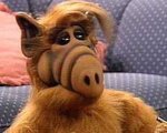 ALF: in arrivo un reboot della serie degli anni '80?