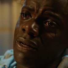 Scappa: Get Out: un primo piano di Daniel Kaluuya