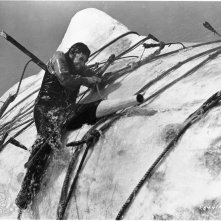 Moby Dick la balena bianca: Gregory Peck affronta la sua nemesi nel finale del film
