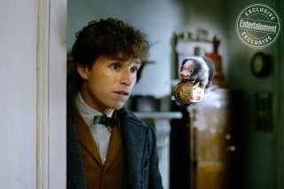 Niffler1