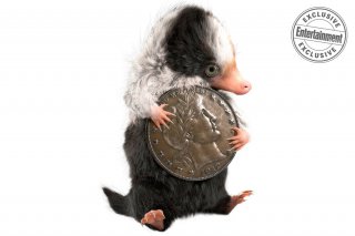 Animali Fantastici: I Crimini di Grindelwald, il concept art di un cucciolo di snaso