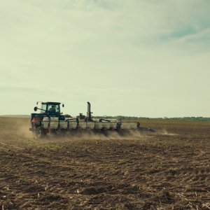 Monrovia, Indiana: un momento del documentario di Wiseman