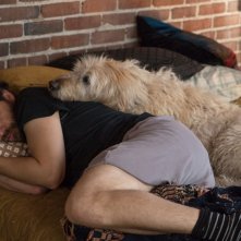 Dog Days: Adam Pally in una scena del film