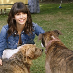 Dog Days: Nina Dobrev in una scena del film
