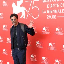 Venezia 2018: Alessandro Gassman al photocall di Una storia senza nome