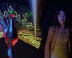 Suspiria, Udo Kier contro il remake: 'Non mi interessa e non lo vedrò'