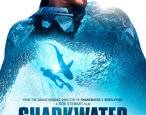 Sharkwater Extinction (Film 2018): trama e info - Movieplayer.it