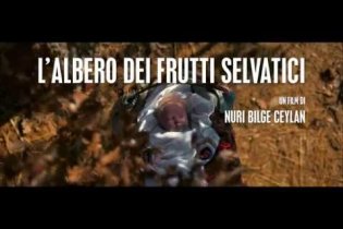 L'albero dei frutti selvatici - Trailer Italiano