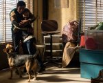 Oscar 2019: Dogman di Matteo Garrone è il candidato italiano