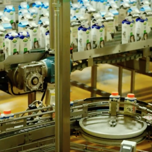 The Milk System: un'immagine tratta dal documentario