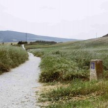 Ti porto io: una scena del documentario