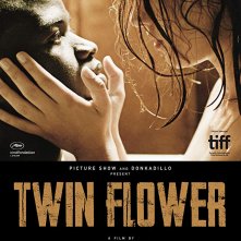 Locandina di Fiore gemello