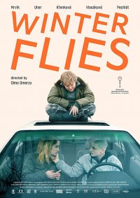 Locandina di Winter Flies