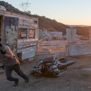 A-X-L: Un'amicizia extraordinaria, Alex Neustaedter in una scena del film