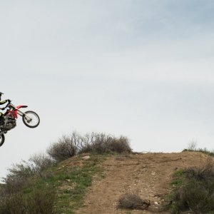 A-X-L: Un'amicizia extraordinaria, una scena del film