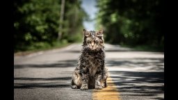 Pet Sematary - Trailer Italiano
